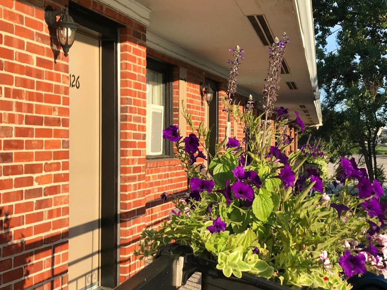 Motel Du Fleuve Brossard Εξωτερικό φωτογραφία
